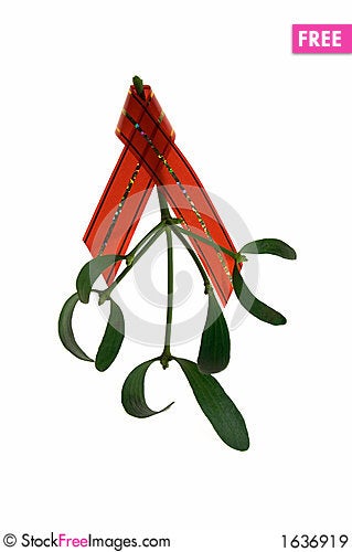 Mistletoe twig with a red ribbon - 1636919